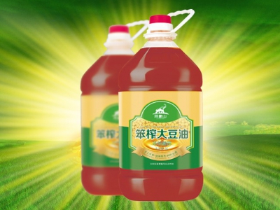 高蛋白笨榨豆油5L